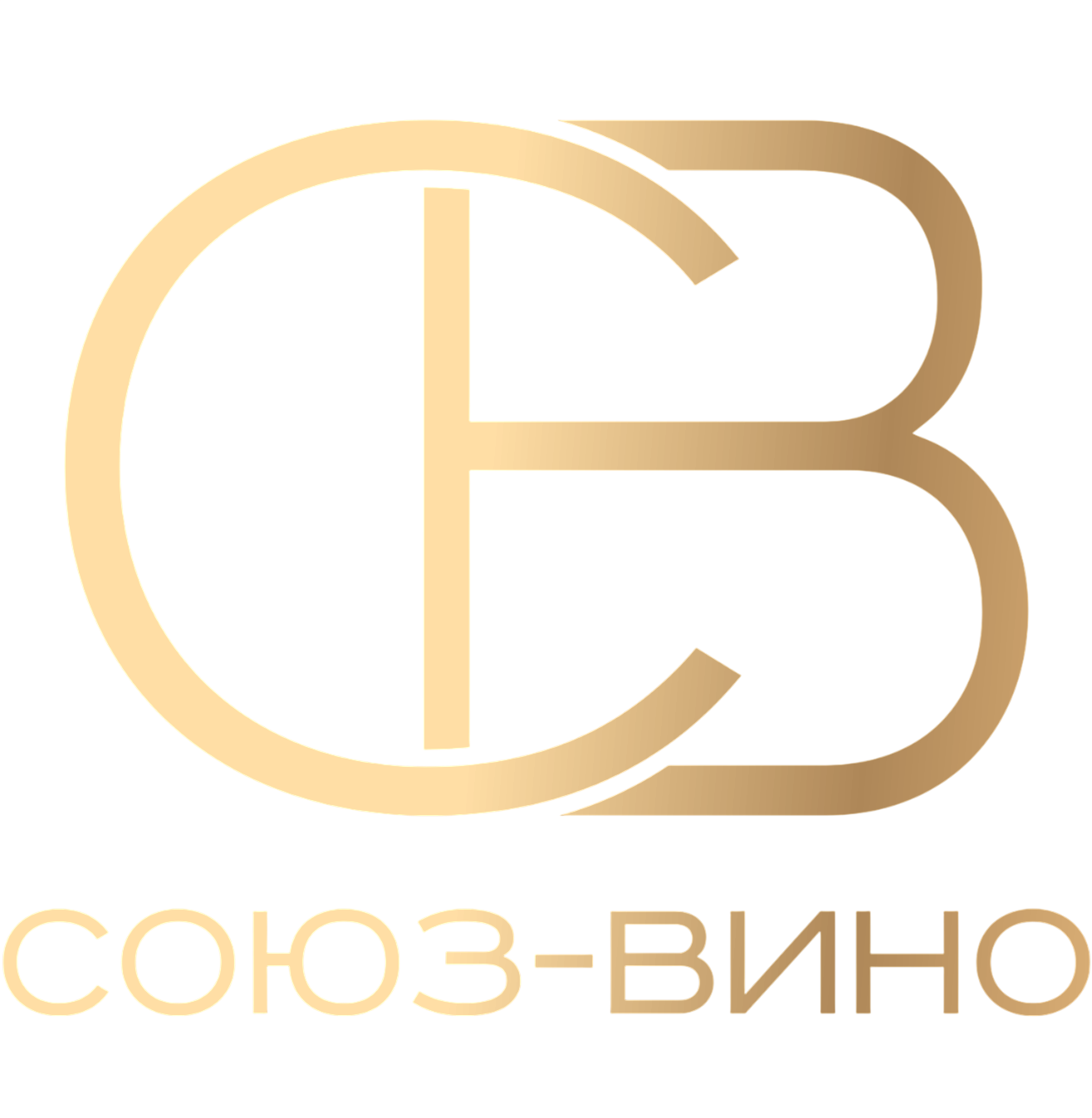 logo_cvvino